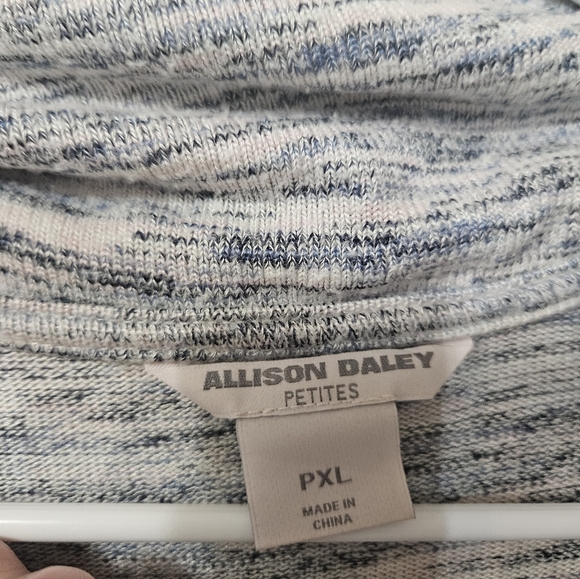 Allison Daley Gray Long Sleeve Cowl Neck Sweater! - Picture 2 of 5